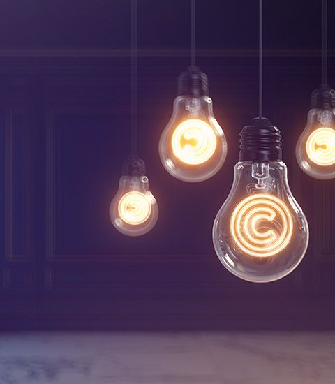 Intellectual And Industrial Property Law